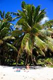 SEYCHELLES - 709 - Mahe, Anse Bougainville